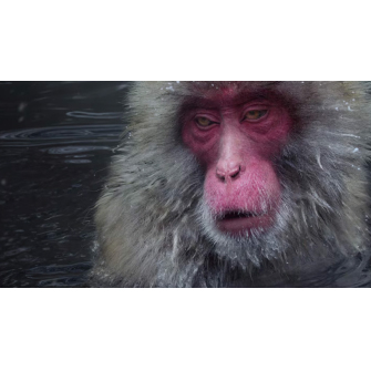 Autodesk at SIGGRAPH 2025
