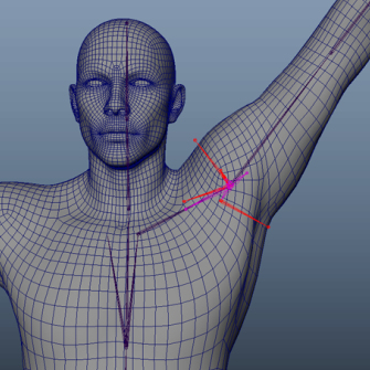 人体構造を意識したキャラクターセットアップ方法 ～ゼロから始めるMayaリギングの基本～